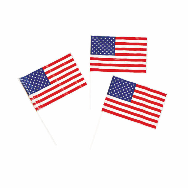 Small Plastic American Flag