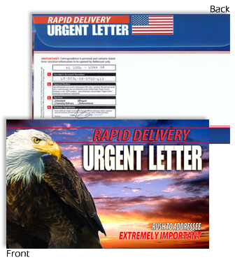 6 X 9 Rapid Delivery URGENT LETTER Eagle with Sunset